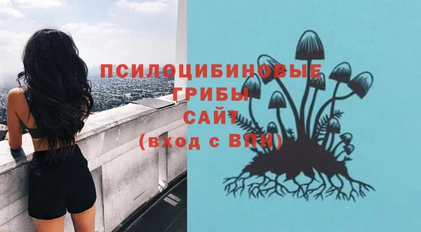 молекула духа Абдулино