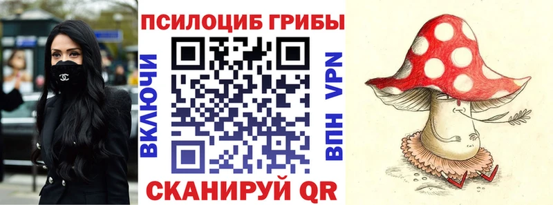 мега ссылка  Алагир  Галлюциногенные грибы прущие грибы 