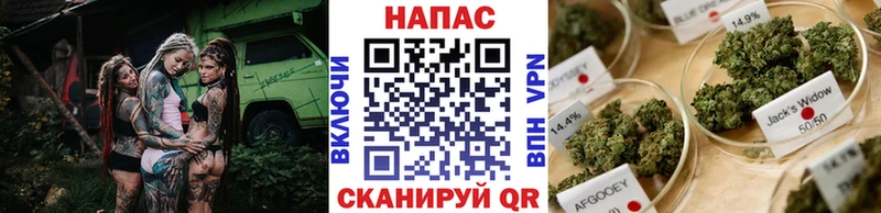 Конопля MAZAR Алагир